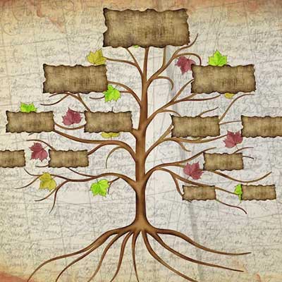 Family tree app